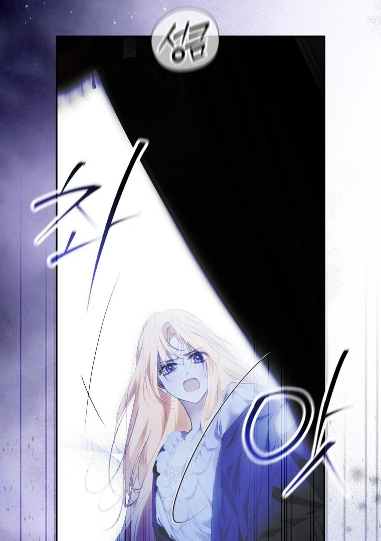 Secret Lady Chapter 117 101